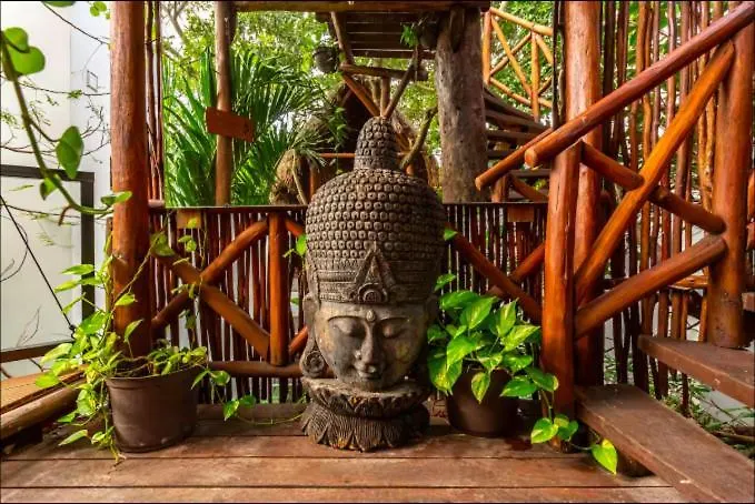 Casa Kabil Wellness *